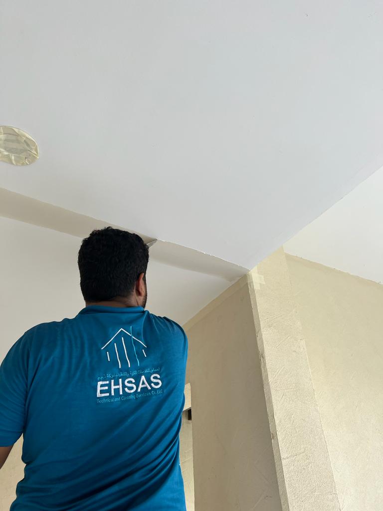 Ehsas Painting Team