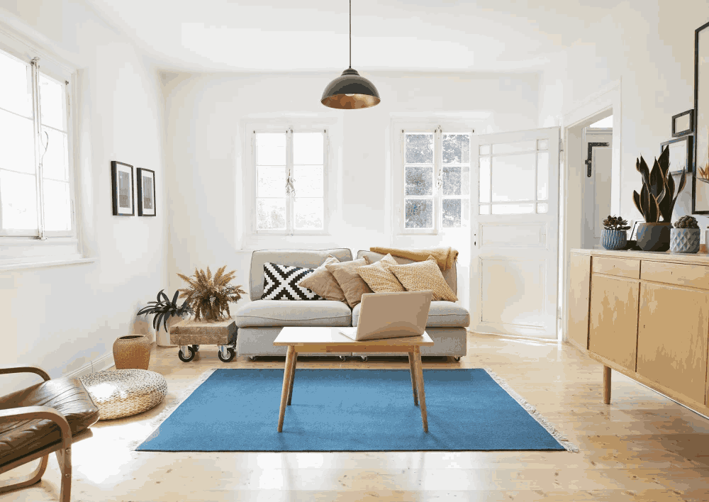 Professional Painting Guide